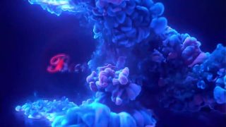 Trans Hottie Bambi Bliss Gives Her Ass To Brunette TS Jenna Creed!